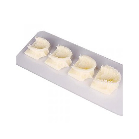 Caliente Dental maxillary grupo pantalla enseñanza cavidad Modelo